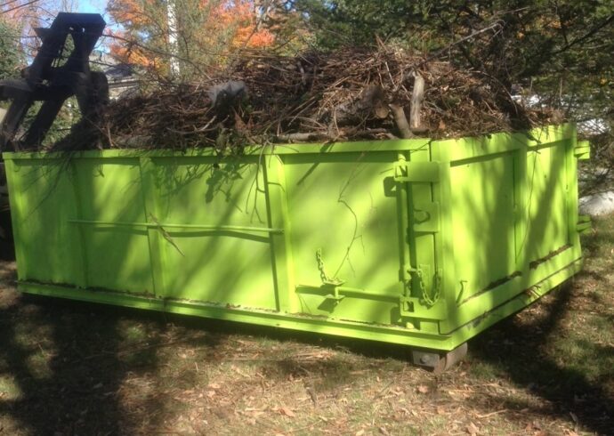 Tree Removal Dumpster Services, Royal Palm Beach Junk Removal and Trash Haulers
