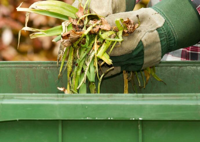 Yard Waste Dumpster Services, Royal Palm Beach Junk Removal and Trash Haulers